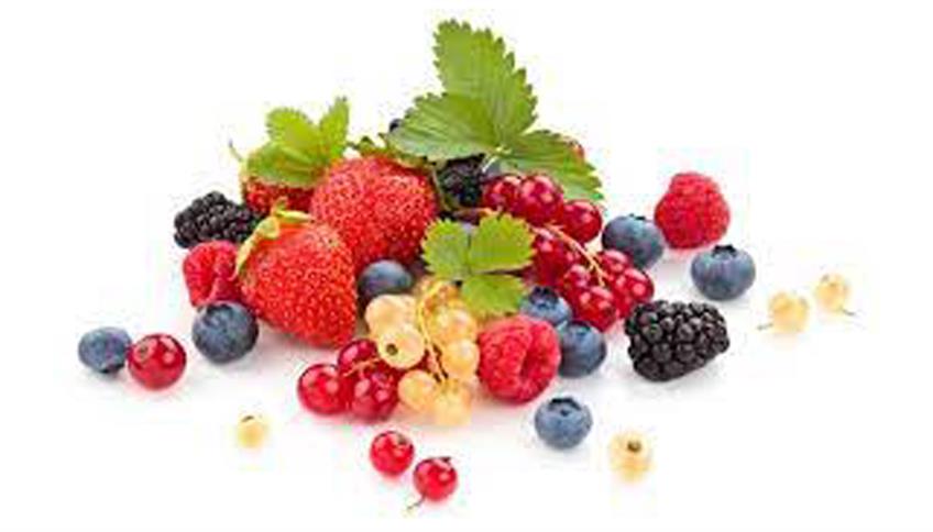 Nutraceutica Nutraceutica
